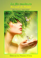 la fée couleur de Marianne DELIHT