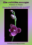 ""Mes orchidées sauvages" de Danielle Bertrand-Laget